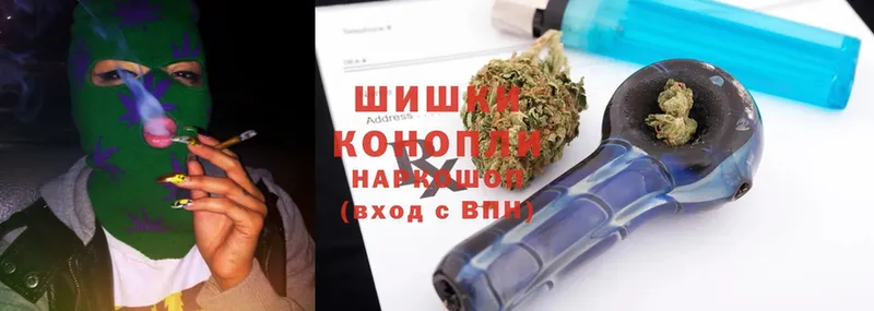 где купить наркотик  Ртищево  Бошки марихуана White Widow 